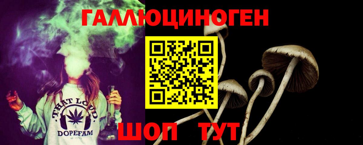 Галлюциногенные грибы ЛСД  Вход с VPN  даркнет сайт  Кимры 