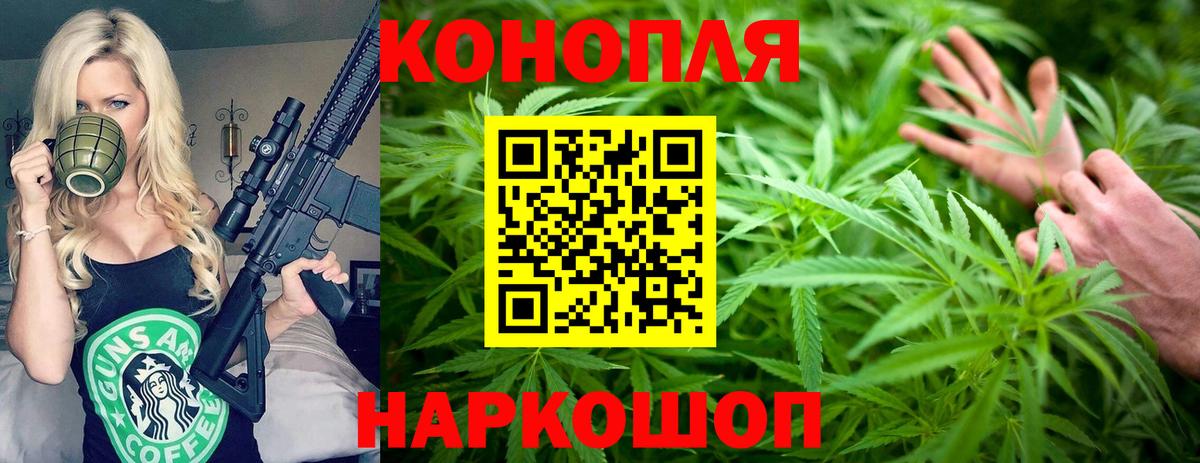 Бошки марихуана план  Конопля семена  Кимры  Конопля планчик  Бошки марихуана план  Вход с VPN 